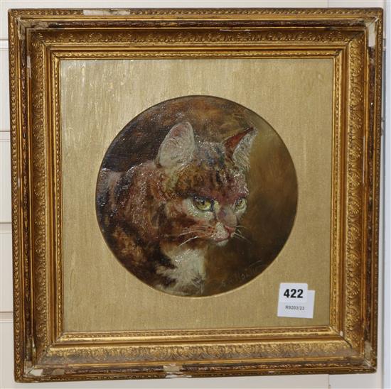 R H Holmes, oil on board, Study of a cats head, signed, tondo 22cm